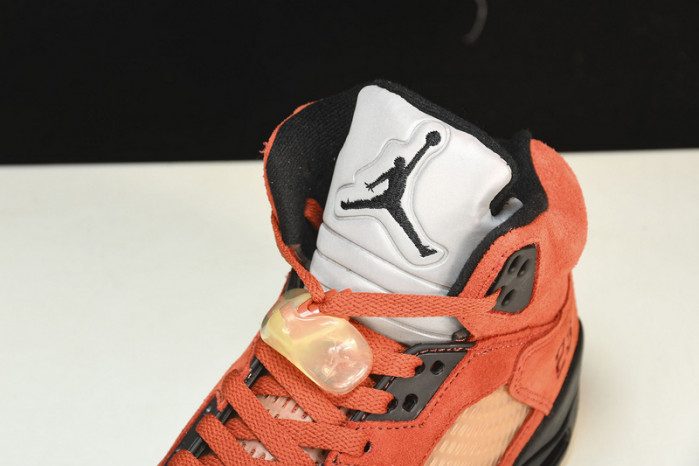 jordan 5 retro dunk on mars