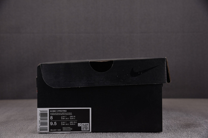 Nike Kobe 5 Protro Year of the Mamba Eggplant IB4481-500