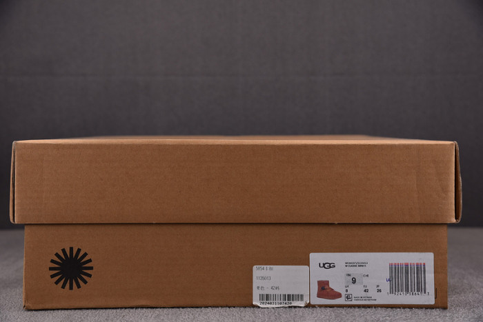 UGG BOOTS UGG1000043