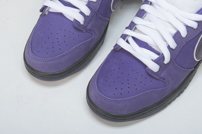 nike sb dunk low concepts purple lobster bv1310-555