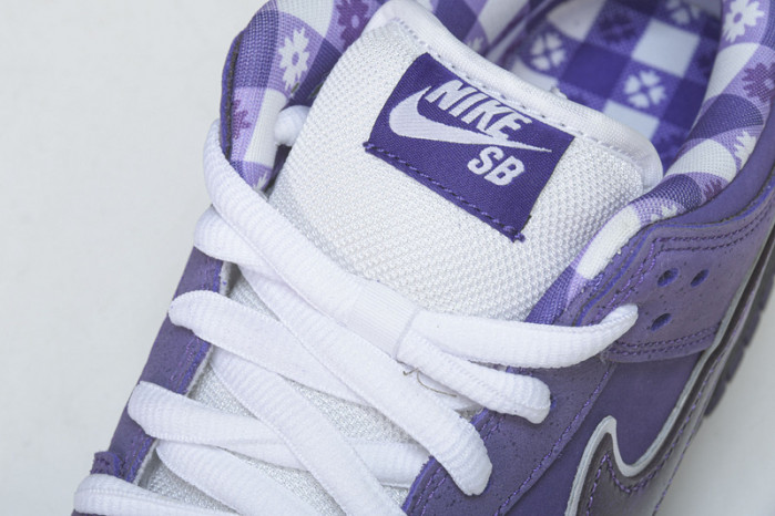 nike sb dunk low concepts purple lobster bv1310-555