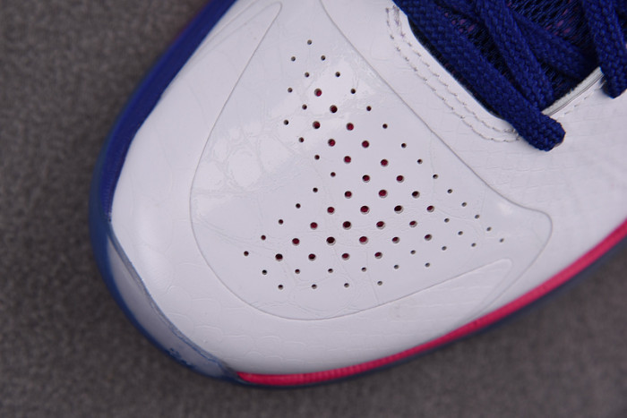 nike zoom kobe 5 protro kay yow